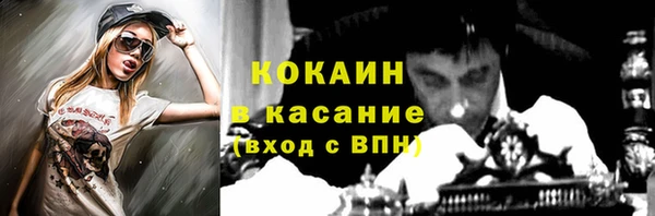 шишки Рославль