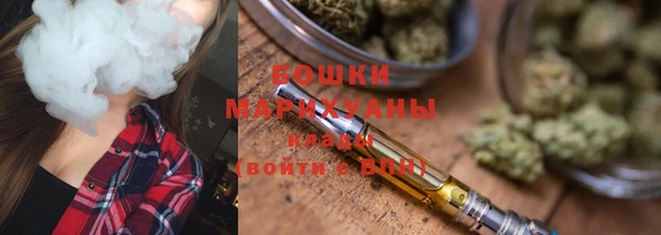 шишки Рославль