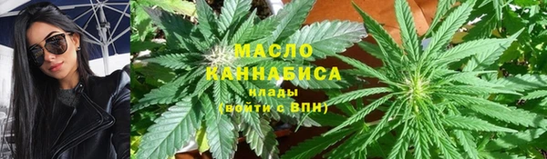 молекула духа Дмитровск